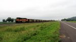 BNSF 8446